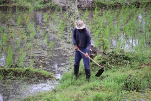 10 Common Farmer Health Problems and How to Prevent Them: A Practical Guide to Staying Healthy on the Farm