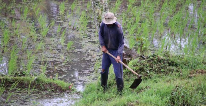 farmers health problems