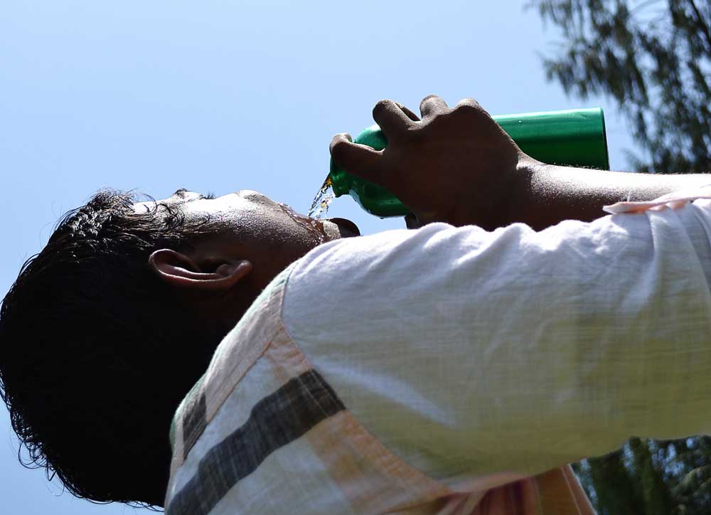 farmers Protect their Kidneys During Hot Weather