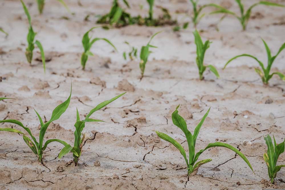 mental health in farming