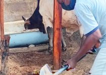 The Farm Wealth Formula: How Smart Farmers Turn Animal Waste into Bigger Harvests and Bigger Profits