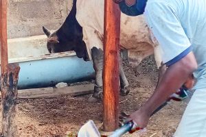 The Farm Wealth Formula: How Smart Farmers Turn Animal Waste into Bigger Harvests and Bigger Profits