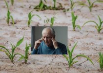 Mental Health in Farming: How to Cope with Stress, Crop Failure, and Financial Pressure