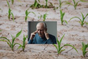 Mental Health in Farming: How to Cope with Stress, Crop Failure, and Financial Pressure