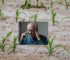Mental Health in Farming: How to Cope with Stress, Crop Failure, and Financial Pressure