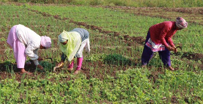 good sleep will enhance in the farm: avoid lack of sleep