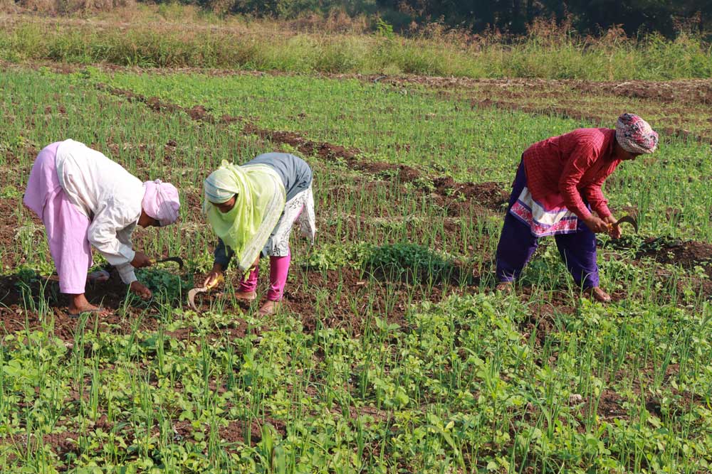 good sleep will enhance in the farm: avoid lack of sleep