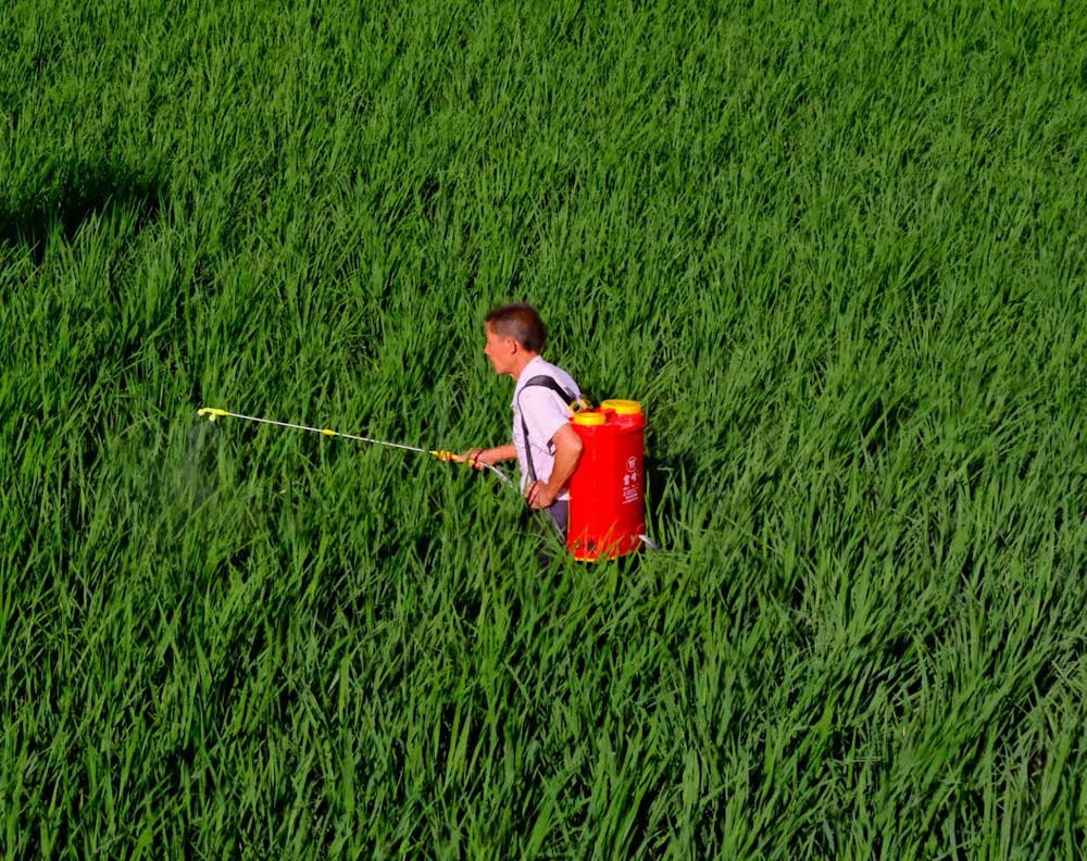 Farmer Health Check