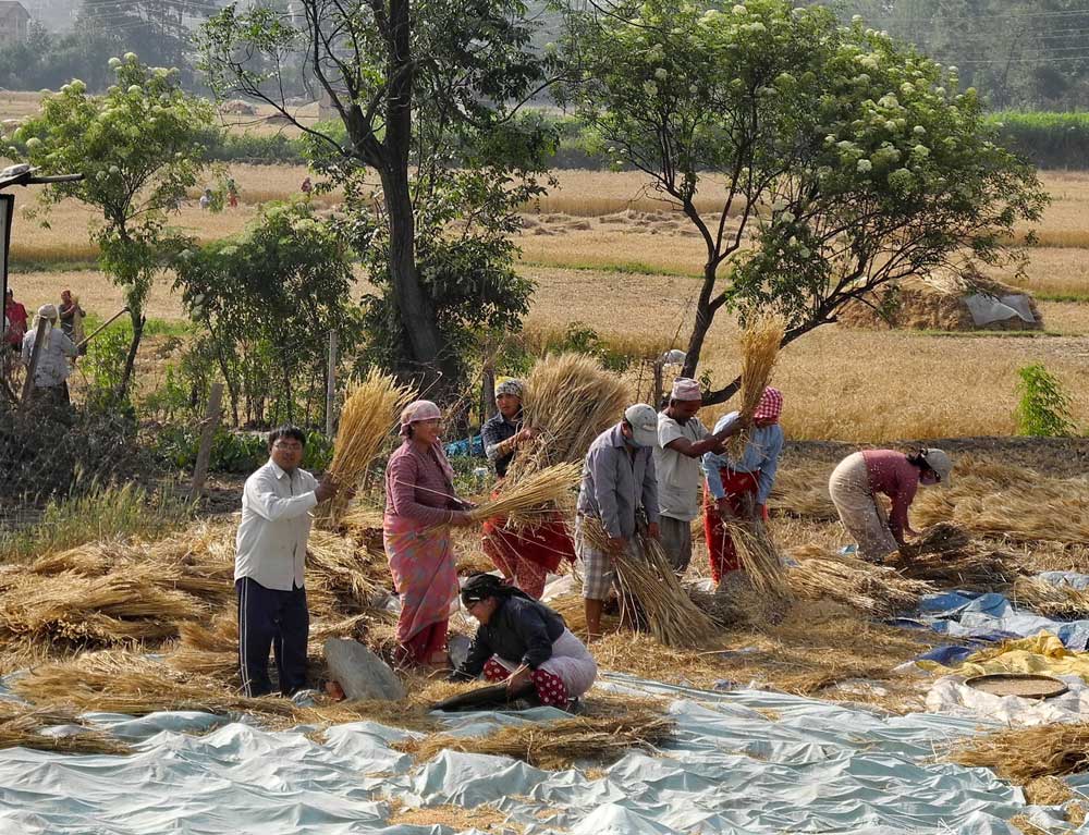 working in the field 