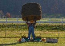 10 Safe Farm Lifting Techniques to Prevent Injuries on the Farm 10 Safe Farm Lifting Techniques to Prevent Injuries on the Farm
