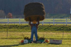 10 Safe Farm Lifting Techniques to Prevent Injuries on the Farm