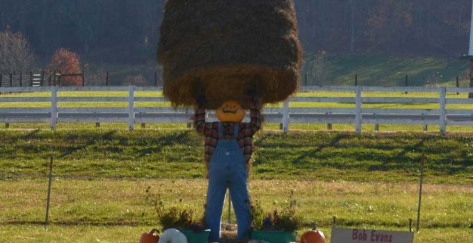 Safe Farm Lifting