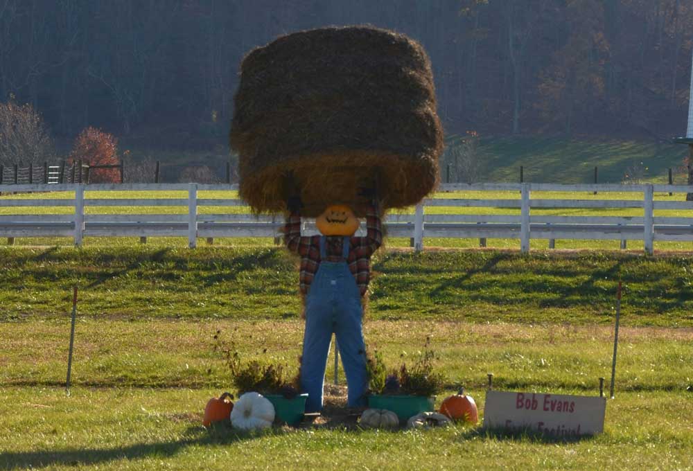 Safe Farm Lifting