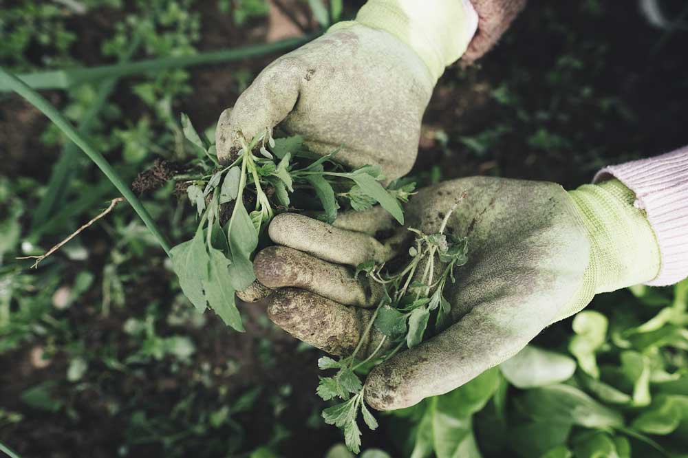 gardening and farming requires a lot of safety measures